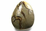 Free-Standing, Polished Septarian - Madagascar #258640-1